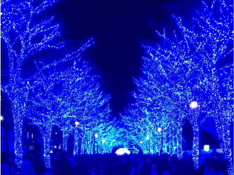 都内ぐるっとクリスマス＆イルミネーションスポット6か所めぐりバスツアー～とんかつまい泉ヒレかつサンド3切の軽食付～【029029-1491】の紹介画像