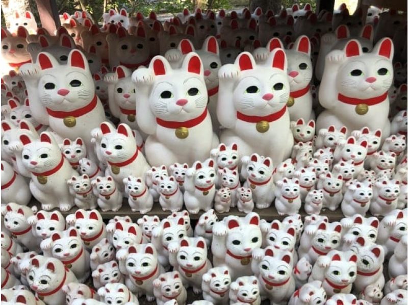 東急世田谷線で行く！例大祭特別御朱印＆世田谷城御城印をいただく寺社めぐりさんぽ～カフェランチ付き～【029029-1440】の紹介画像