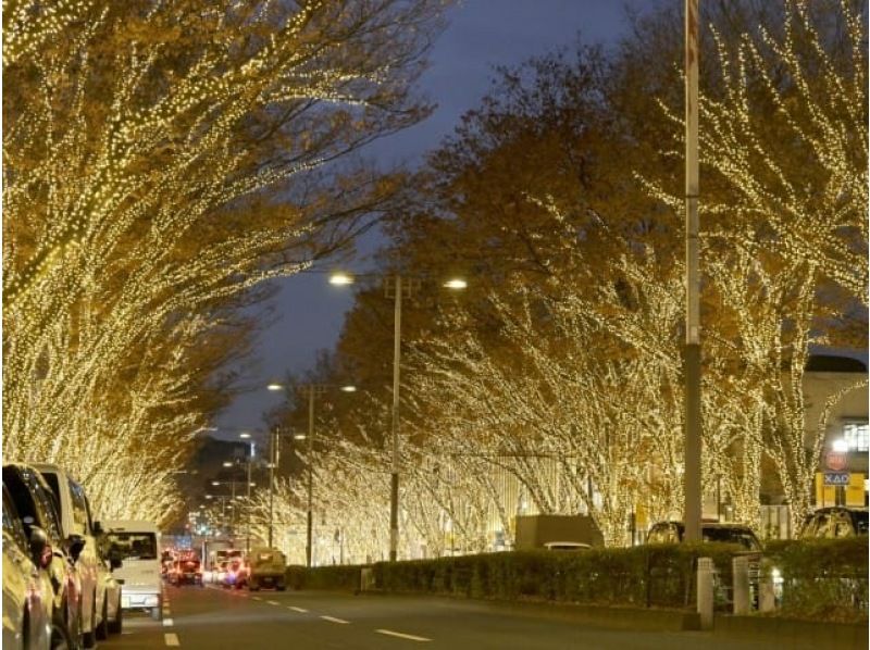 都内ぐるっとクリスマス＆イルミネーションスポット6か所めぐりバスツアー～とんかつまい泉ヒレかつサンド3切の軽食付～【029029-1491】の紹介画像