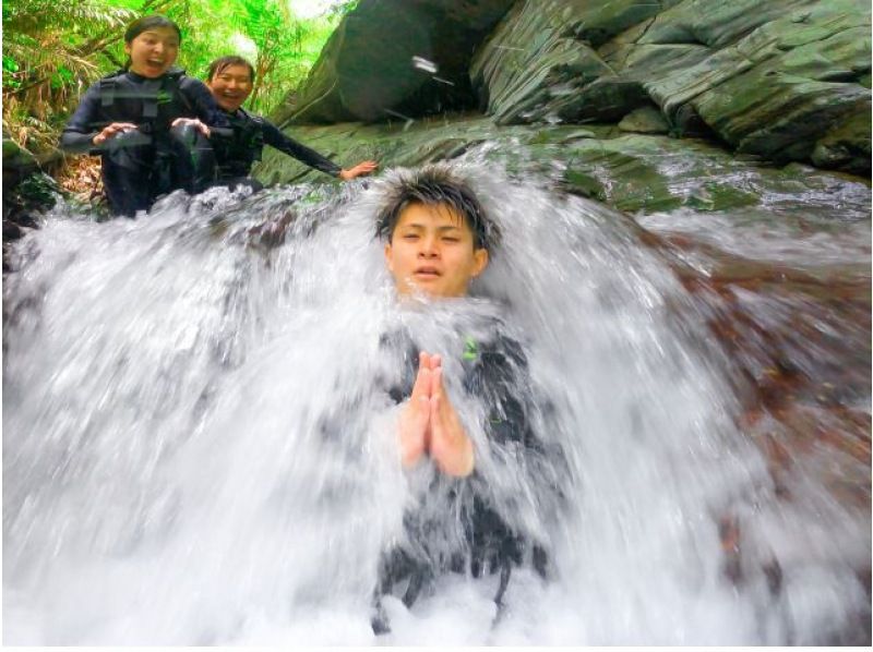 [冲绳/山原]乘坐水陆两用车进行壮观的丛林探险之旅（120分钟）您还可以在广阔的私人土地上行驶！我们将单独处理每个组！即使下雨天也能享受♪の紹介画像