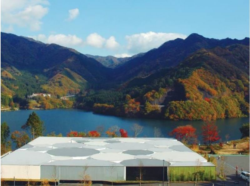 【東京発・群馬】紅葉の渓谷鉄道と宝徳寺床もみじ旅【029029-1422】の紹介画像