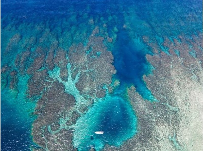 【沖縄・恩納村発】「絶景2ヶ所シュノーケリングクルーズ＋神秘的なブルーアイズや珊瑚群落へ」ドローン＆水中撮影無料★SUP等レンタルアイテムもの紹介画像