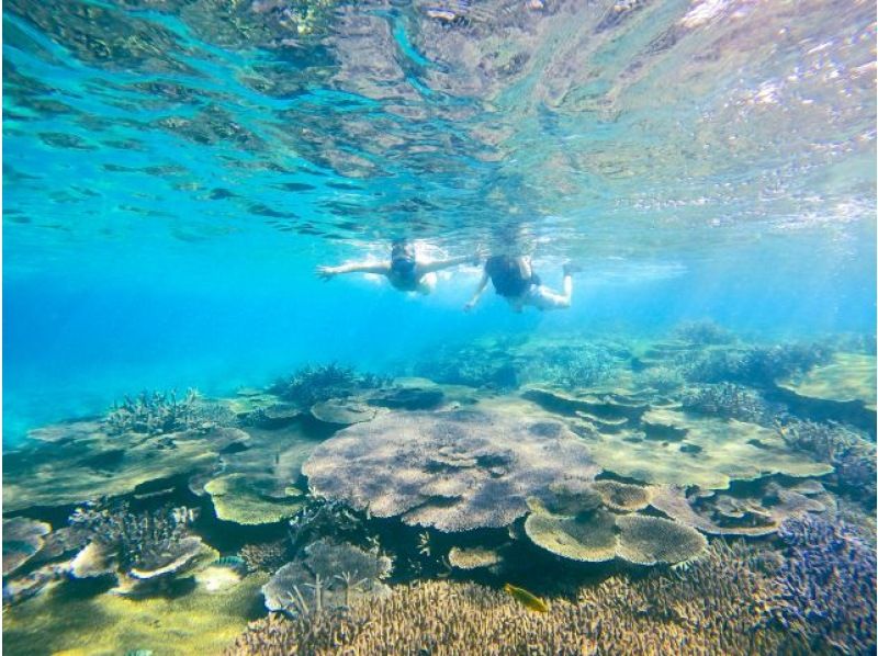 [Departing from Onna Village, Okinawa] "Snorkeling cruise to two spectacular locations + mysterious blue eyes and coral colonies" Drone and underwater photography free ★ Rental items such as SUP also availableの紹介画像