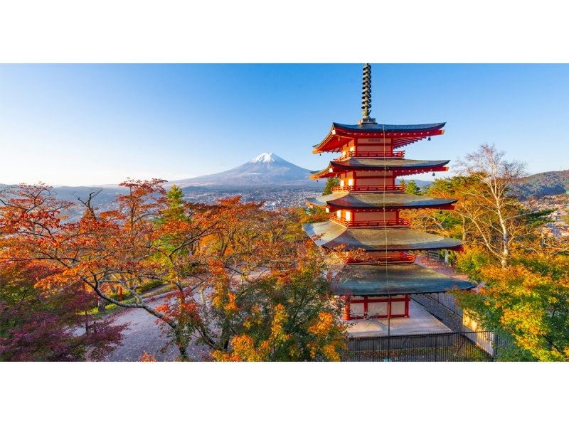 【山梨/河口湖】東京出發河口湖一日遊（富士山地區、新倉山淺間公園、大石公園、LAWSON）の紹介画像