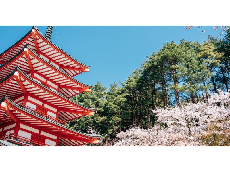 【山梨/河口湖】東京出發河口湖一日遊（富士山地區、新倉山淺間公園、大石公園、LAWSON）の紹介画像