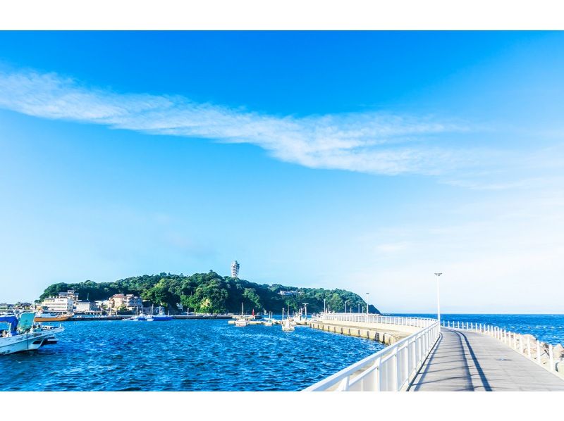 【神奈川・鎌倉】東京発！鎌倉大仏、鶴岡八幡宮、江ノ島日帰りツアーの紹介画像