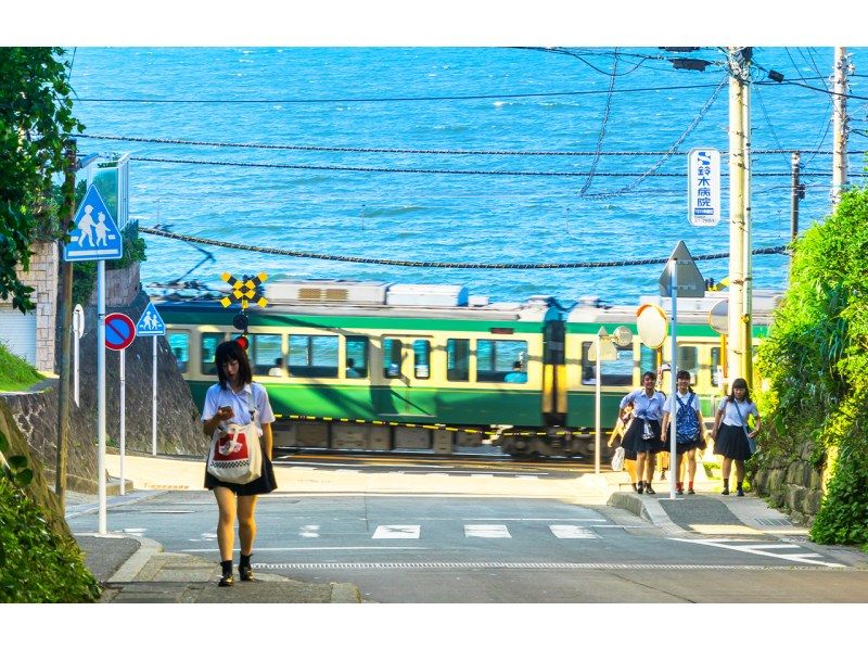 SALE! [Kanagawa/Kamakura] Departing from Tokyo! Kamakura Great Buddha, Tsurugaoka Hachimangu Shrine, and Enoshima Day Tourの紹介画像