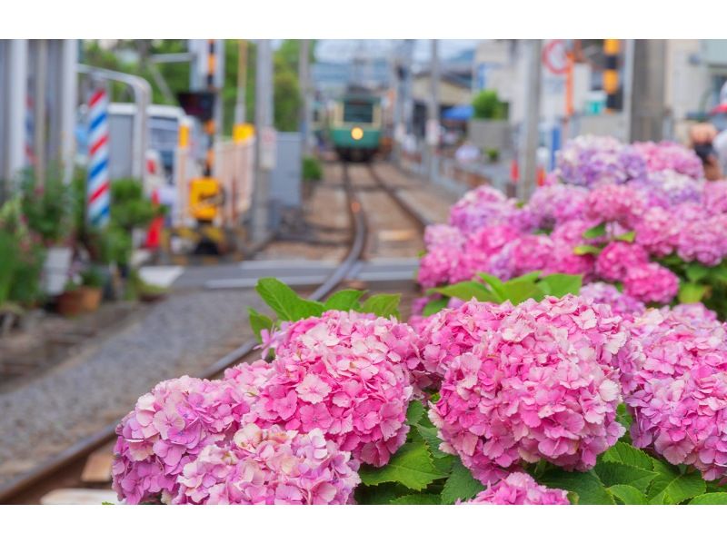 SALE！【神奈川・鎌倉】東京発！鎌倉大仏、鶴岡八幡宮、江ノ島日帰りツアーの紹介画像