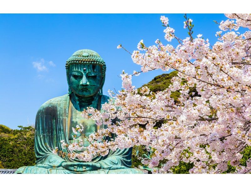 銷售！ [神奈川/鎌倉]從東京出發！鎌倉大佛、鶴岡八幡宮、江之島一日遊の紹介画像