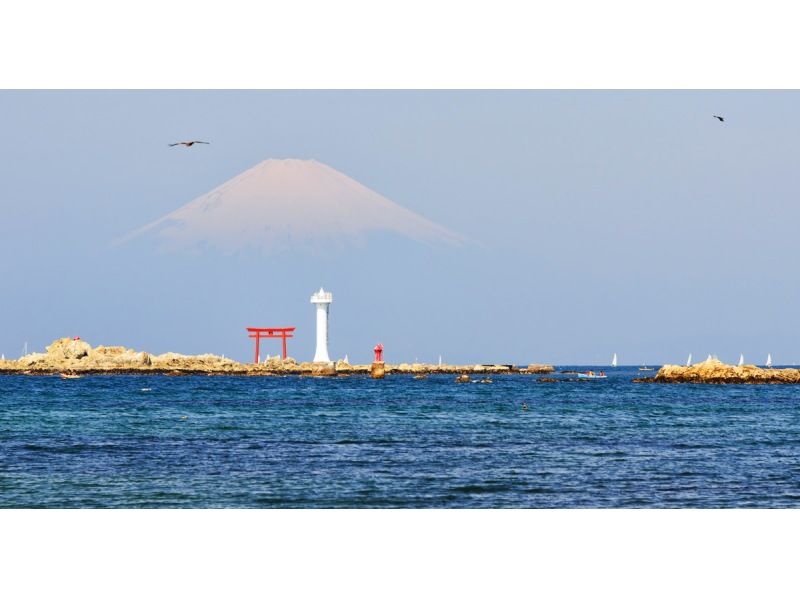 销售！ [神奈川/镰仓]从东京出发！镰仓大佛、鹤冈八幡宫、江之岛一日游の紹介画像