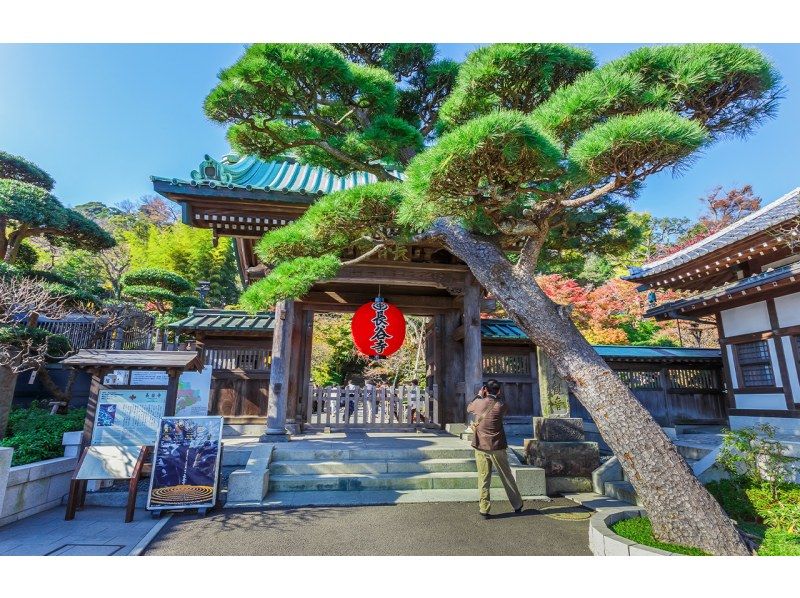 SALE！【神奈川・鎌倉】東京発！鎌倉大仏、鶴岡八幡宮、江ノ島日帰りツアーの紹介画像