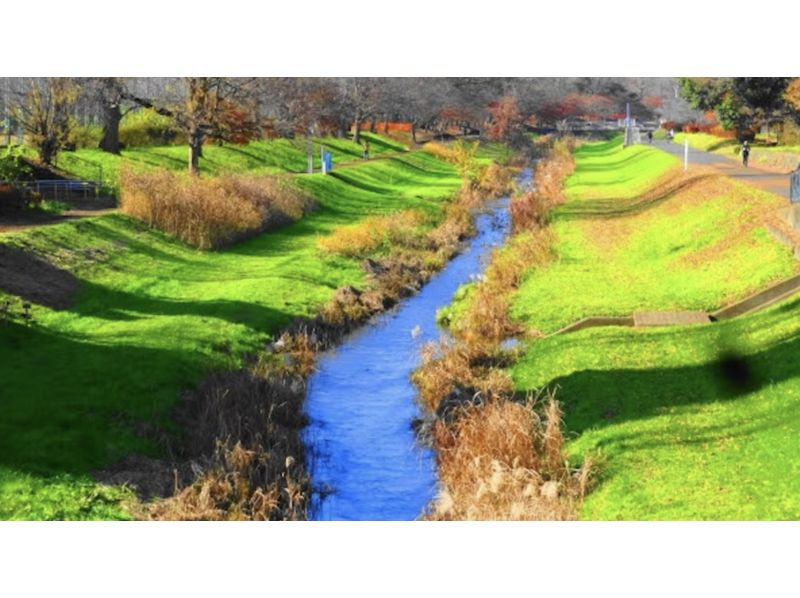 [Tokyo, Chofu] Healthy lamb and vegetable BBQ plan! Includes hot springs. Free nature experience for families who make reservations. Childcare available. Extensive menu.の紹介画像