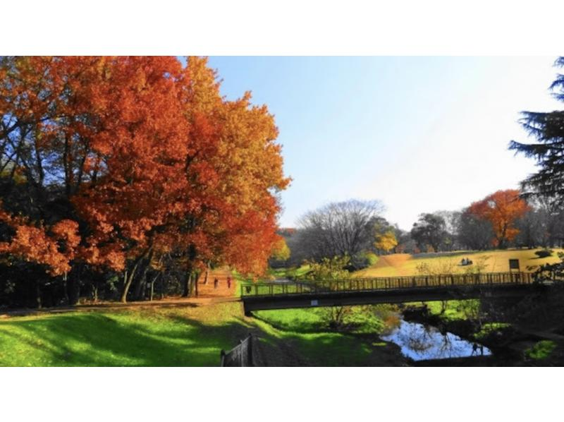 [Tokyo, Chofu] Ajillo & Bagna Cauda Plan! Includes hot springs. Free nature experience for families who make reservations. Abundant childcare menu.の紹介画像