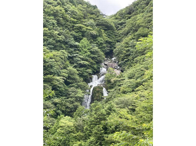 涼を求め四国の秘境の渓谷にてミニシャワークライミング！写真データ付【吉野川・高知】大豊ICから約15分｜グループ・カップル・お一人様の紹介画像