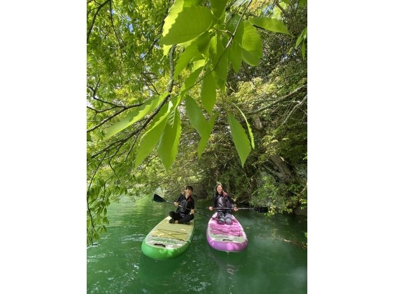 【足柄・丹沢湖】７.８名の団体様に激アツお得プラン⭐︎大幅値引き！貸切ツアー！山奥の大自然にゴー！写真、動画無料プレゼント⭐︎の紹介画像