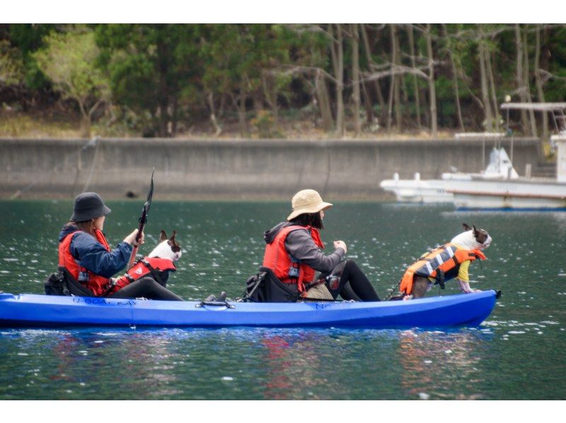 【若狭・常神半島】青の洞窟カヤックツアー《カップル・女性・ファミリーにおすすめ！ワンちゃんOK！写真映え間違いなしの絶景スポット！》の紹介画像