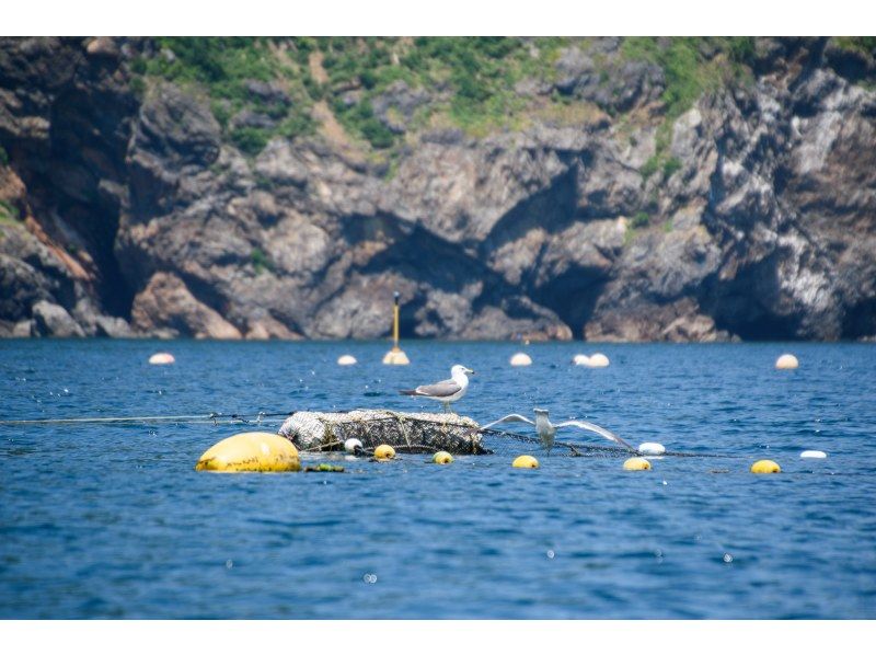 【若狭・常神半島】青の洞窟カヤックツアー《カップル・女性・ファミリーにおすすめ！ワンちゃんOK！写真映え間違いなしの絶景スポット！》の紹介画像