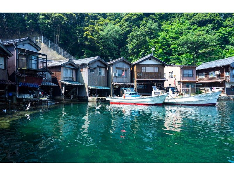 SALE! Kyoto's hidden gem: Amanohashidate and Ine Funaya day tourの紹介画像