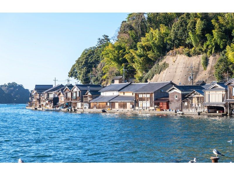 Kyoto's Hidden Gems: Amanohashidate and Ine Funaya Day Tourの紹介画像