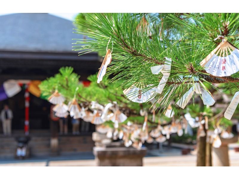 销售！天桥立/伊根船屋一日游（大阪/京都出发）の紹介画像