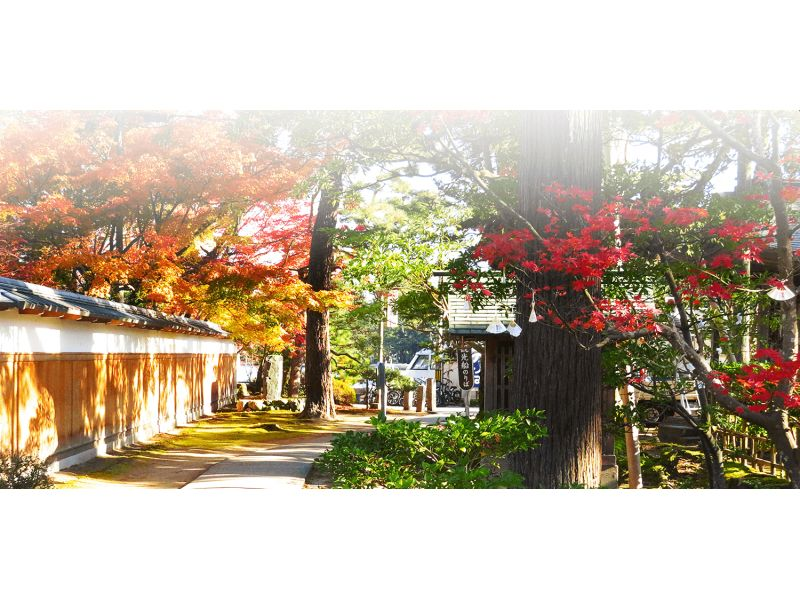 SALE! Amanohashidate and Ine Funaya Day Tour (Departing from Osaka/Kyoto)の紹介画像