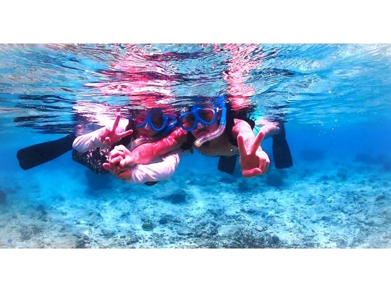 《SALE♪♪》จองนาทีสุดท้ายตกลง ☆ การดำน้ำตื้น(Snorkeling) ในแหล่งที่อยู่อาศัยของเต่าทะเล [หาดจอห์นแมน] ☆ ประสบการณ์การให้อาหาร ☆ อัตราการพบเต่าทะเลสูง ☆の紹介画像