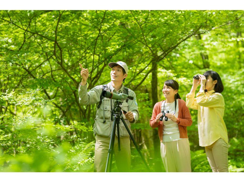 [Nagano/Karuizawa] Wild Bird Forest Nature Watchingの紹介画像