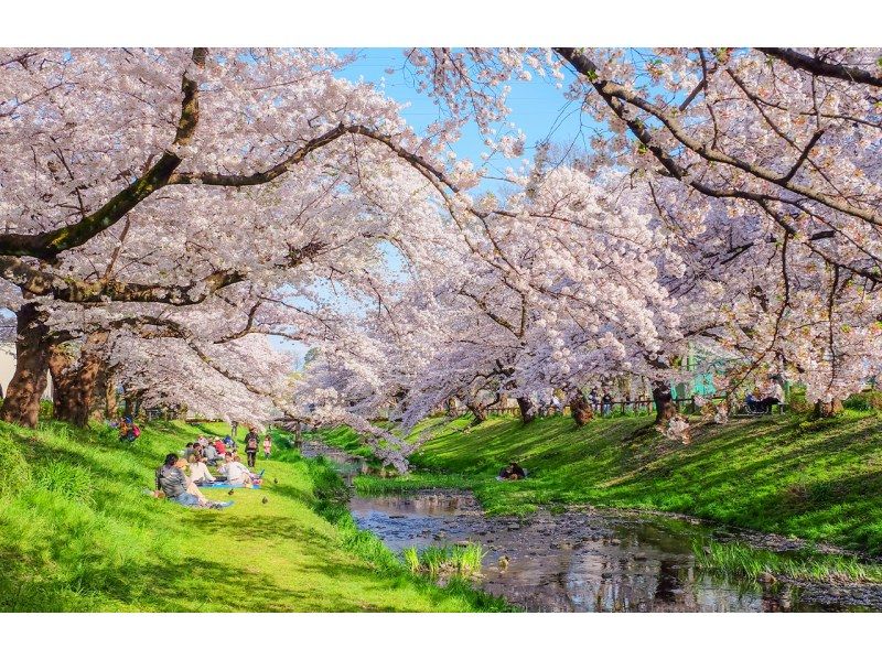 銷售！ [一日遊]富士山A路線：富士山、忍野八海、奧特萊斯、溫泉の紹介画像