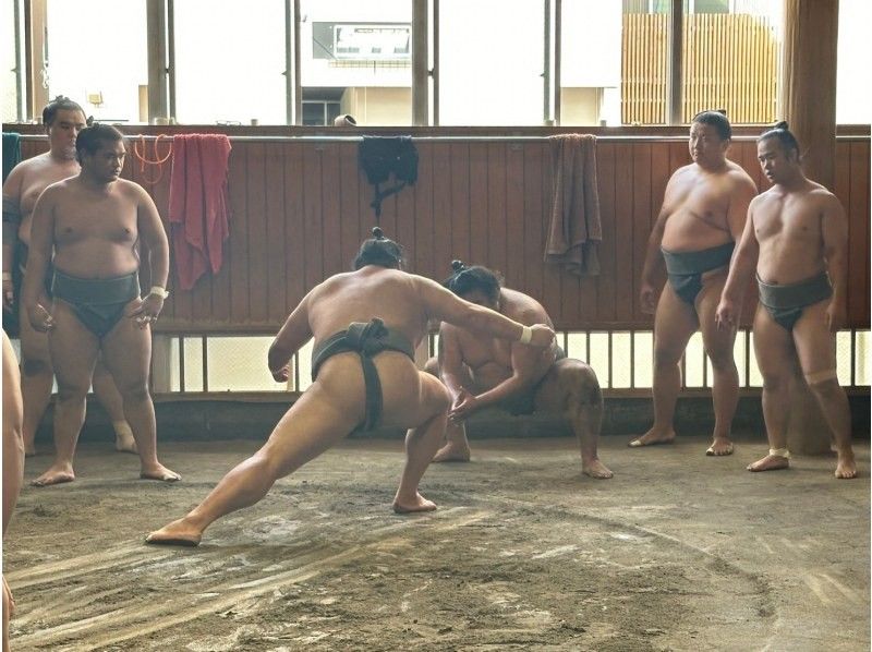 【東京】英語ガイドと行く伝統ある日本の国技「大相撲」迫力の朝稽古見学体験ツアーの紹介画像