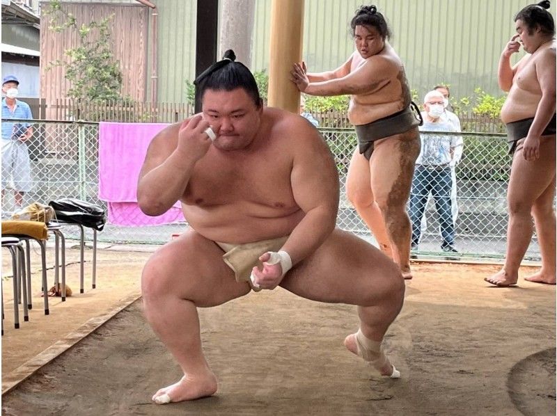 [Tokyo] Experience a tour to see the exciting morning practice of the traditional Japanese sport of sumo with an English guideの紹介画像