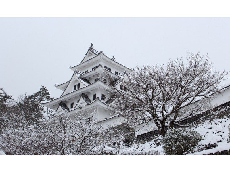 【每天從名古屋站出發】帶您了解郡上八幡、飛驒高山、白川鄉3座古城的歷史和傳統的巴士一日遊（提供英語、日語、中文）の紹介画像