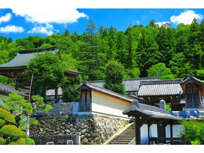 [Daily departures from Nagoya Station] A one-day bus tour of the three ancient capitals of Gujo Hachiman, Hida Takayama, and Shirakawa-go, a journey through history and tradition (available in English, Japanese, and Chinese)の紹介画像