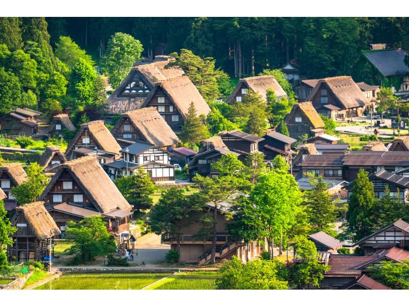 【每天从名古屋站出发】带您了解郡上八幡、飞驒高山、白川乡3座古城的历史和传统的巴士一日游（提供英语、日语、中文）の紹介画像