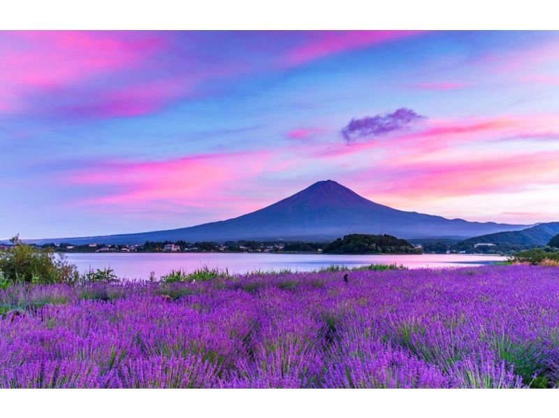 【一日遊】富士山B路線：富士山、河口湖、山中湖、溫泉の紹介画像