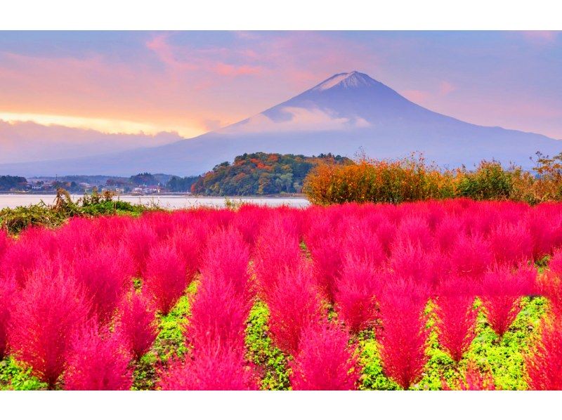 【一日遊】富士山B路線：富士山、河口湖、山中湖、溫泉の紹介画像