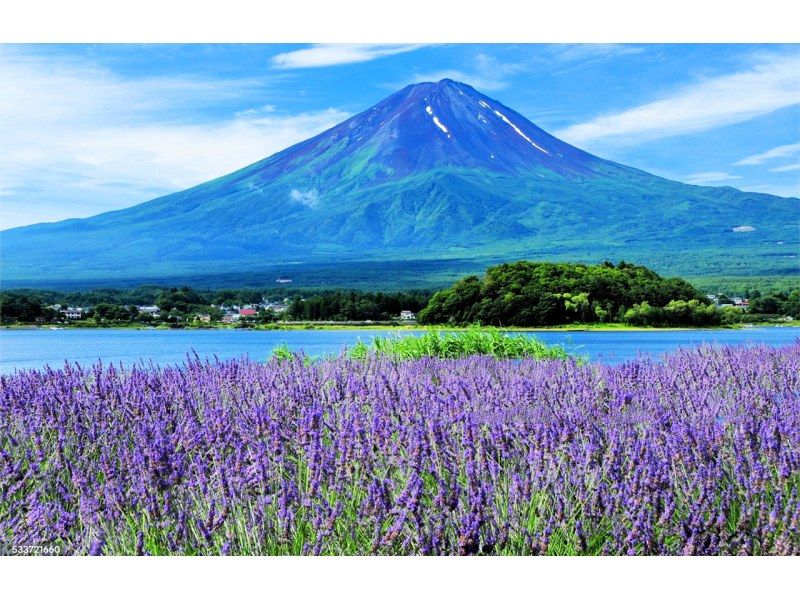 【日帰り】富士山Bコース：富士山・河口湖・山中湖・温泉の紹介画像