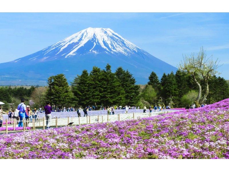 【一日遊】富士山B路線：富士山、河口湖、山中湖、溫泉の紹介画像