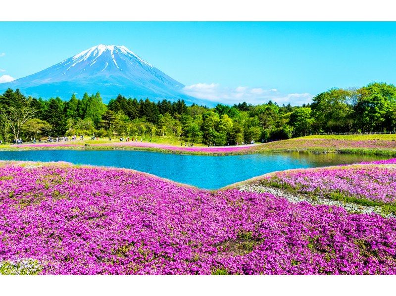 【一日遊】富士山B路線：富士山、河口湖、山中湖、溫泉の紹介画像