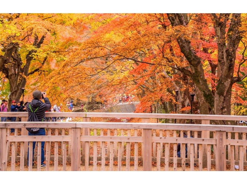 【一日游】富士山B路线：富士山、河口湖、山中湖、温泉の紹介画像