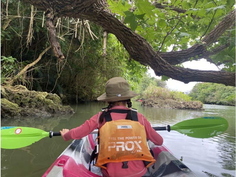 Mangrove Kayaking: Starts at 4pm. Enjoy the cool weather in the gentle sunlight! Limited time offer. Ages 2 and up are welcome. Free rental items available in a variety of sizes for children!の紹介画像