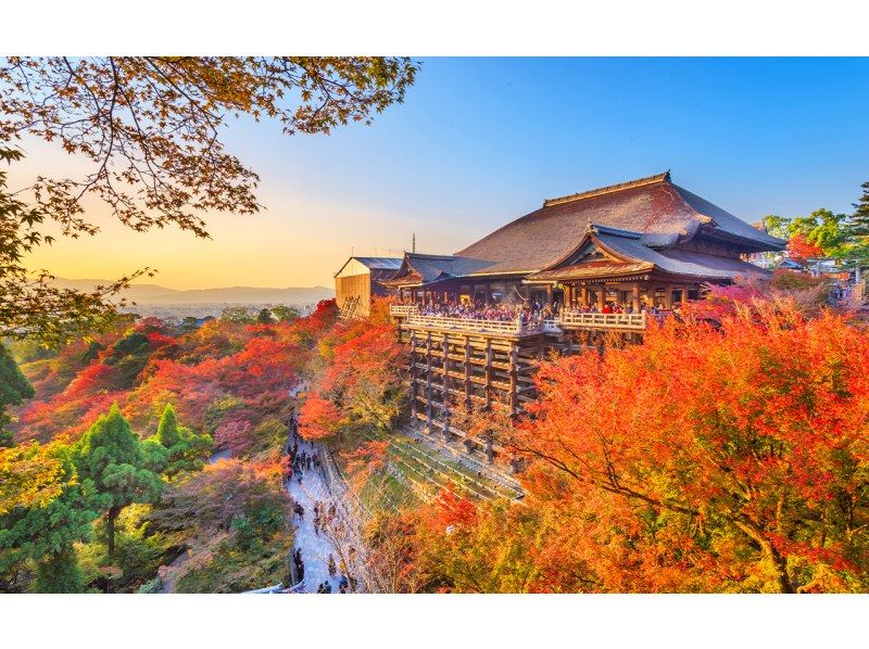 【日帰り】京都・奈良・清水寺・着物体験・八坂神社・伏見稲荷大社・奈良公園・東大寺 日帰りツアー（大阪/京都発）の紹介画像