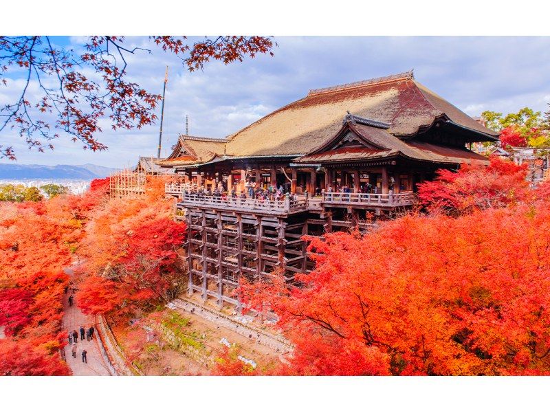 【一日游】京都、奈良、清水寺、和服体验、八坂神社、伏见稻荷大社、奈良公园、东大寺一日游（大阪/京都出发）の紹介画像