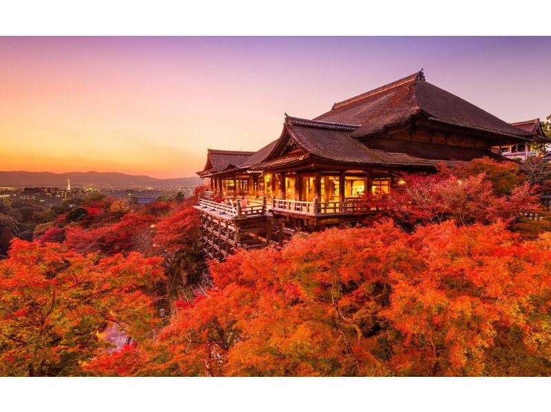 【日帰り】京都・奈良・清水寺・着物体験・八坂神社・伏見稲荷大社・奈良公園・東大寺 日帰りツアー（大阪/京都発）の紹介画像