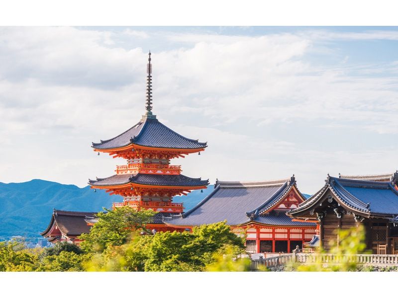 【一日游】京都、奈良、清水寺、和服体验、八坂神社、伏见稻荷大社、奈良公园、东大寺一日游（大阪/京都出发）の紹介画像