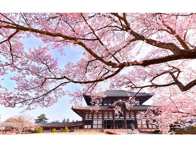 【日帰り】京都・奈良・清水寺・着物体験・八坂神社・伏見稲荷大社・奈良公園・東大寺 日帰りツアー（大阪/京都発）の紹介画像