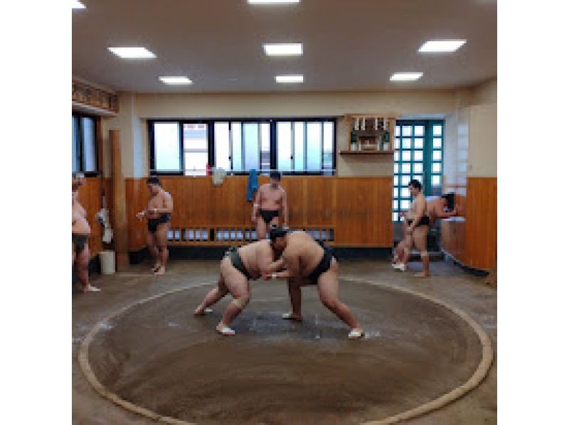 [Tokyo/Kiyosumi Shirakawa] A tour to see the morning practice at a sumo stable and experience Japan's beautiful culture and historyの紹介画像