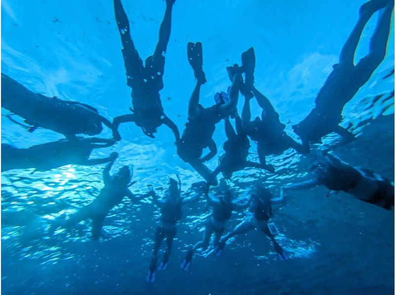 半日/午前】ボートで行く！幻の島（浜島）上陸！&綺麗な珊瑚礁＋可愛い熱帯魚が見れる2ポイントシュノーケル！海亀遭遇率高確率！撮影無料サービスの紹介画像