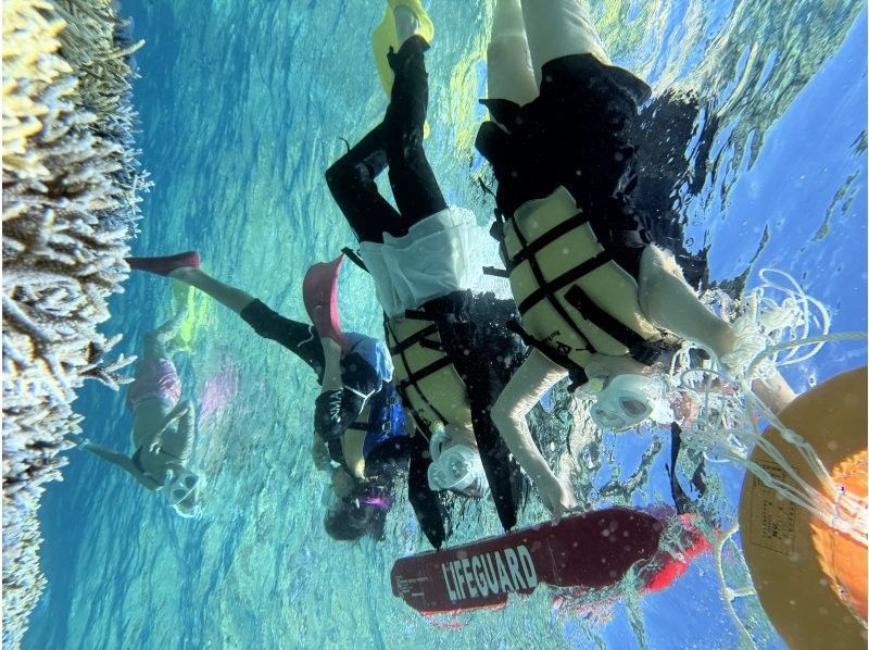[Half-day tour from Ishigaki Island] Landing on the mysterious island (Hamajima)! & Sea turtle snorkeling tour! Sea turtle encounter rate is almost 100%!! Photos and videos will be given as gifts!の紹介画像