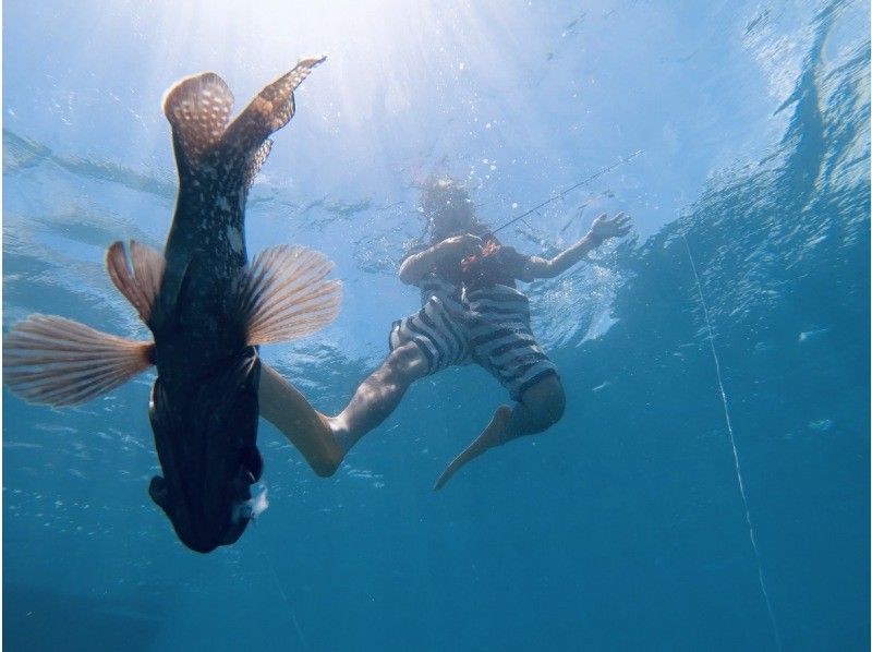 [Okinawa Ishigaki Island] Fishing while swimming called Mitsuri by chartered boat from age 5!