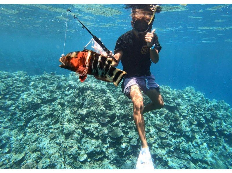 【石垣島・貸し切り】泳ぎながら釣り体験”見釣り”（シュノーケルフィッシング）完全貸し切り船｜5歳から参加OKの紹介画像